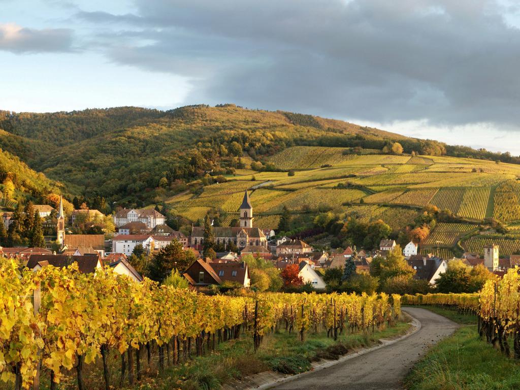 Gite Au Coeur De Ribeauville Kültér fotó